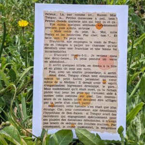 carte livre jaune orangé