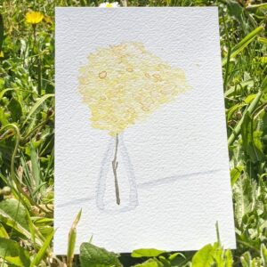 aquarelle bouquet de mimosa dans un vase transparent