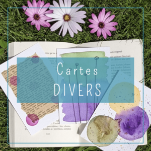 categorie cartes divers