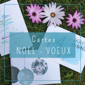 categorie cartes noel et voeux