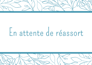 En attente de réassort