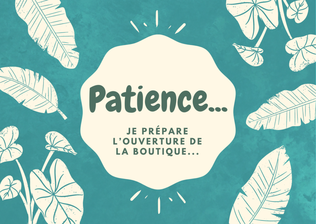 Ouverture prochaine de la boutique en ligne