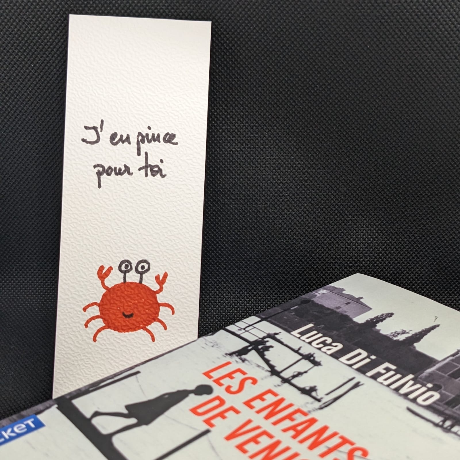 J en pince pour toi avec livre